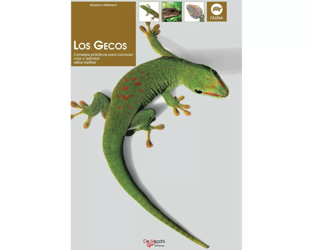 Los gecos