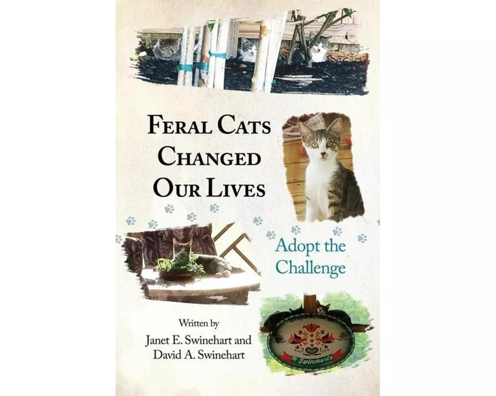 Feral Cats Changed Our Lives: Adopt the Challenge