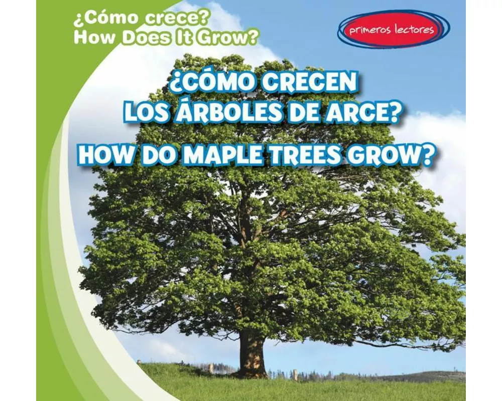 ¿Cómo Crecen Los Árboles de Arce? / How Do Maple Trees Grow?