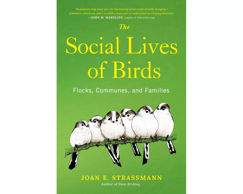 The Social Lives of Birds
