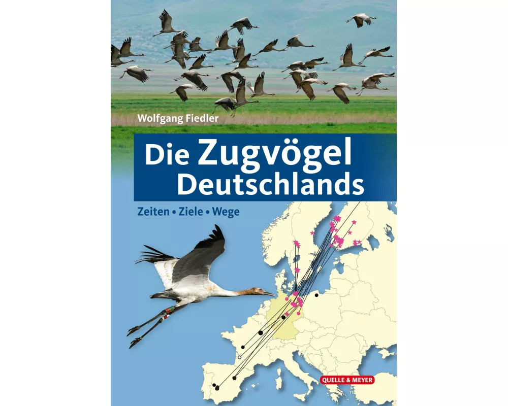 Die Zugvögel Deutschlands