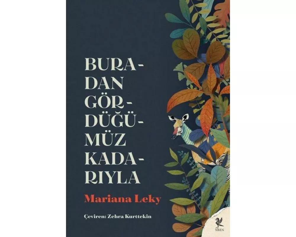 Buradan Gördügümüz Kadariyla