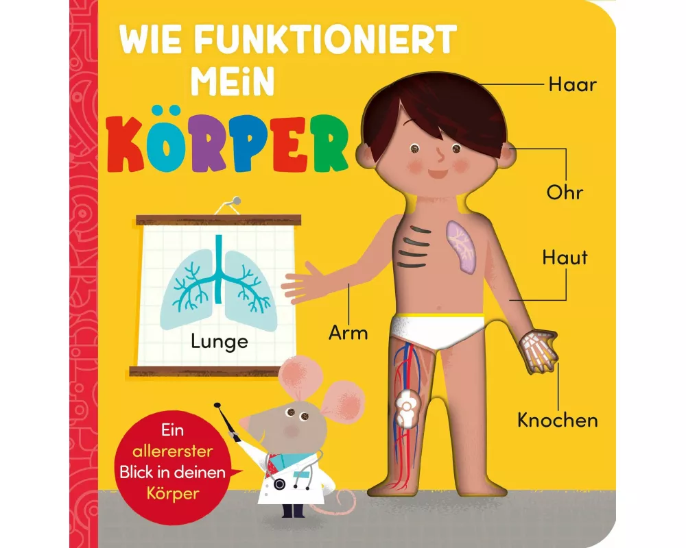 Wie funktioniert mein Körper