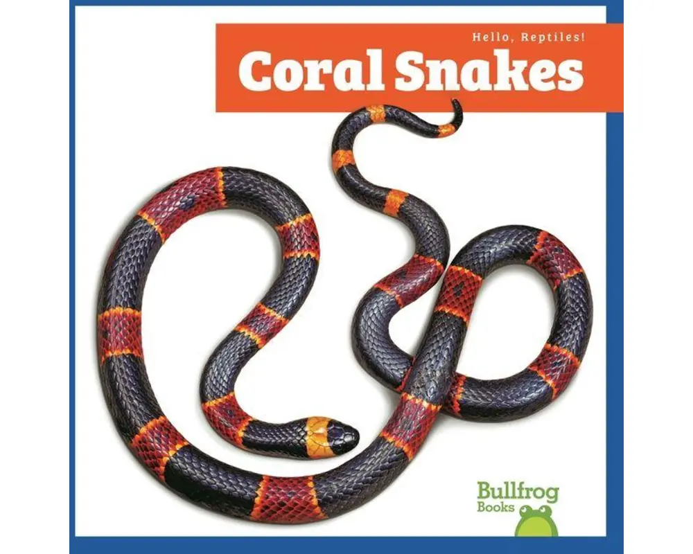 Coral Snakes