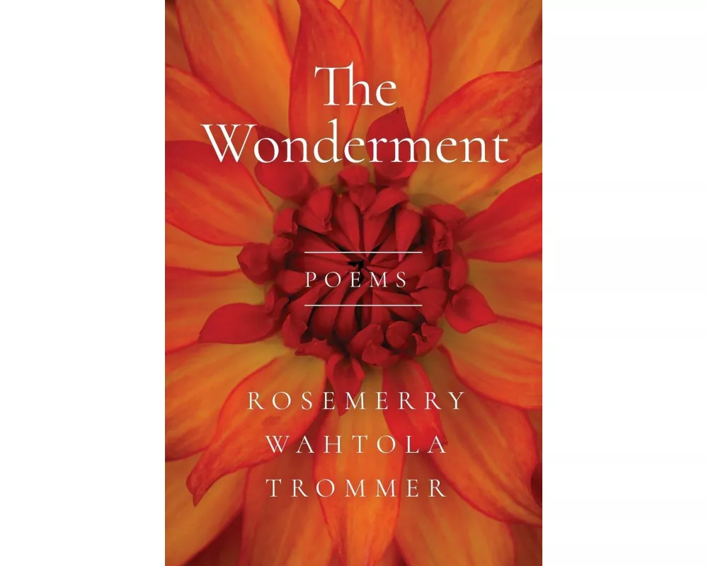 The Wonderment