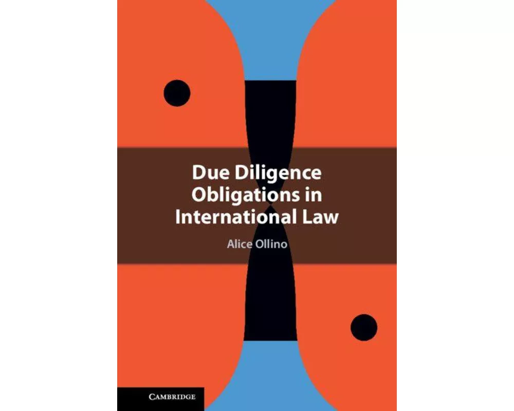 Due Diligence Obligations in International Law