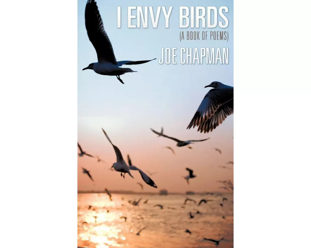 I Envy Birds