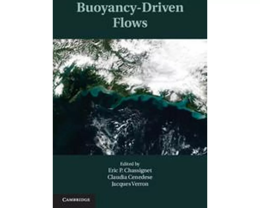 Buoyancy-Driven Flows