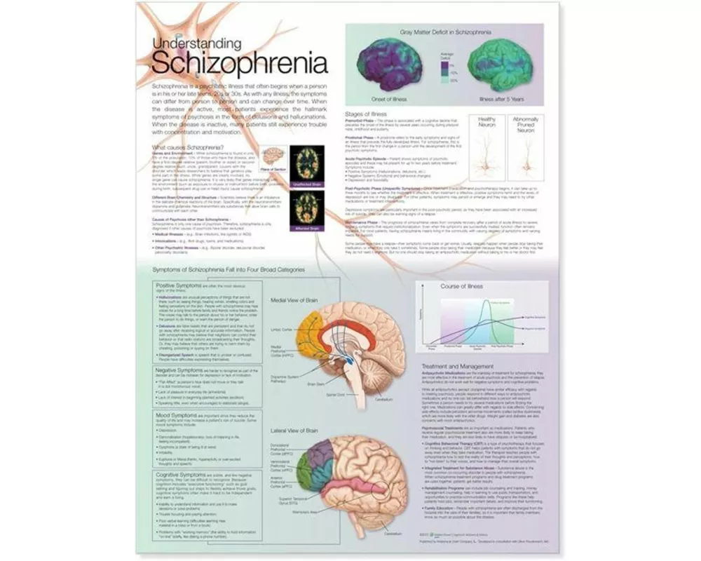 Understanding Schizophrenia Anatomical Chart