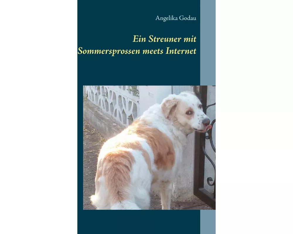 Ein Streuner mit Sommersprossen meets Internet