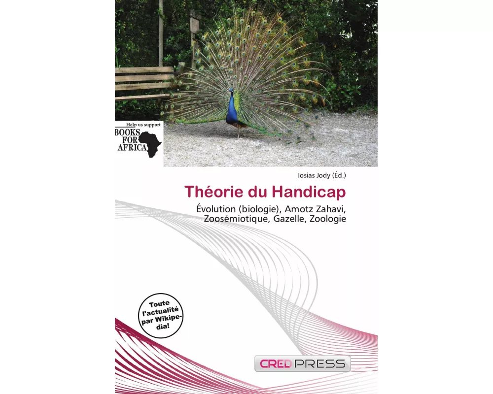 Théorie du Handicap