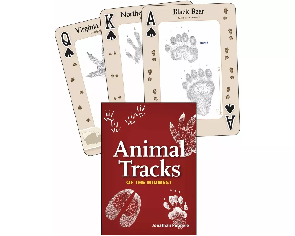 Animal Tracks of the Midwest Playing Cards