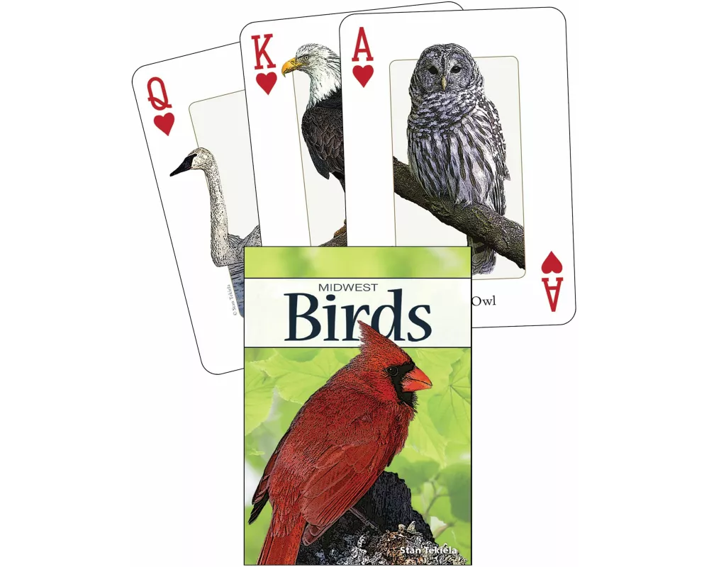 Birds of the Midwest Playing Cards
