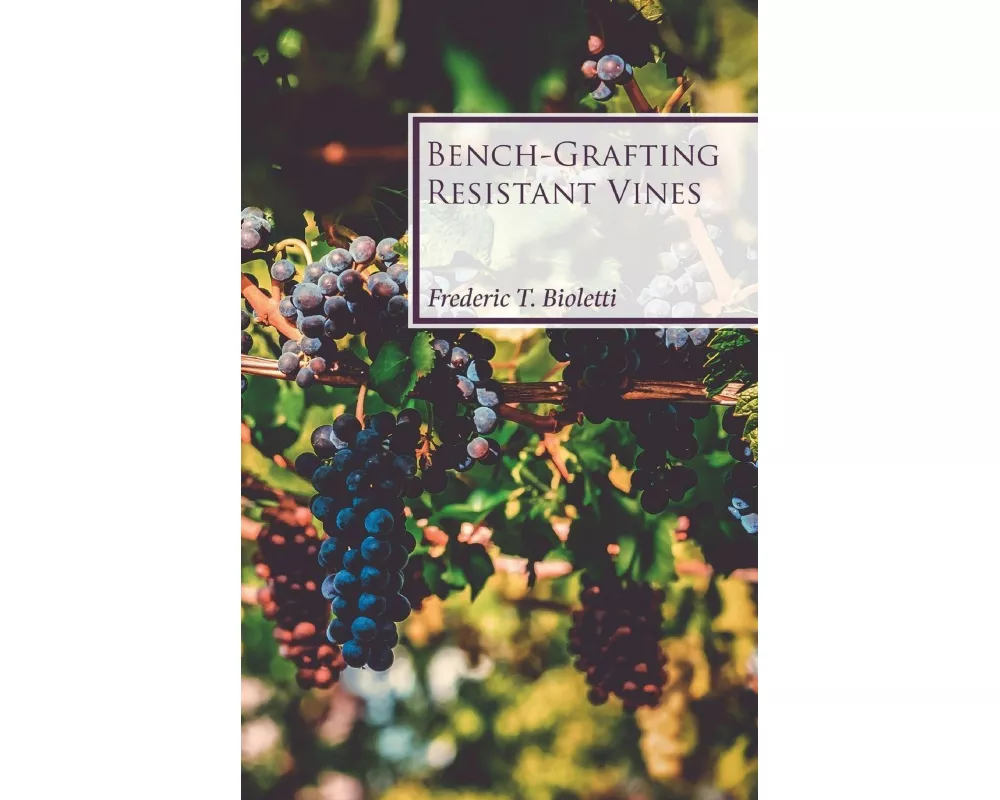 Bench-Grafting Resistant Vines