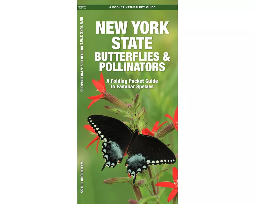 New York State Butterflies & Pollinators