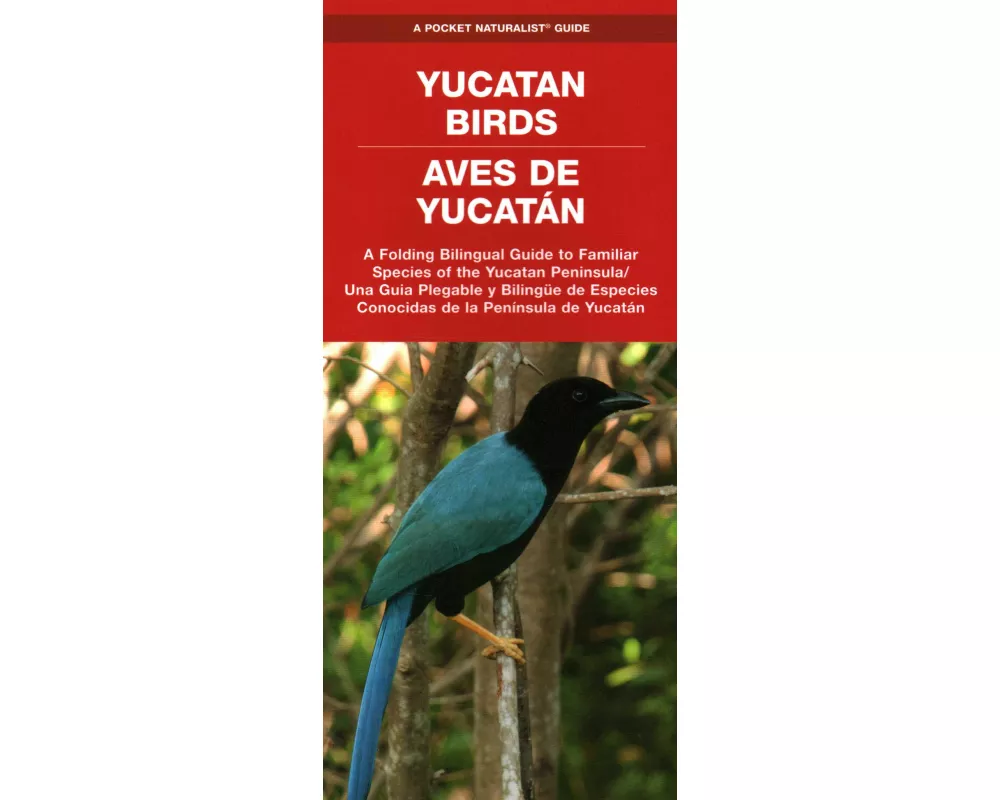 Yucatan Birds/Aves de Yucatan, 2nd Ed