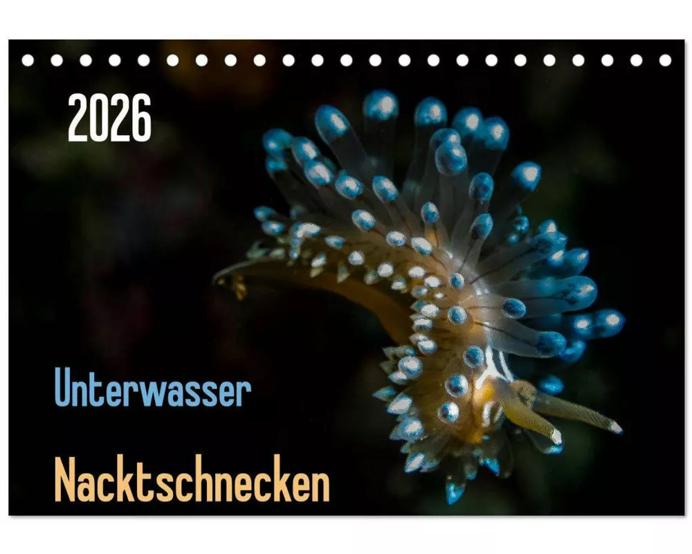 Unterwasser - Nacktschnecken 2026 (Tischkalender 2026 DIN A5 quer), CALVENDO Monatskalender
