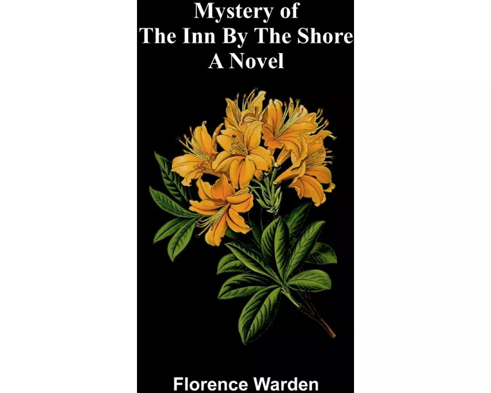 Mystery of the inn by the shore