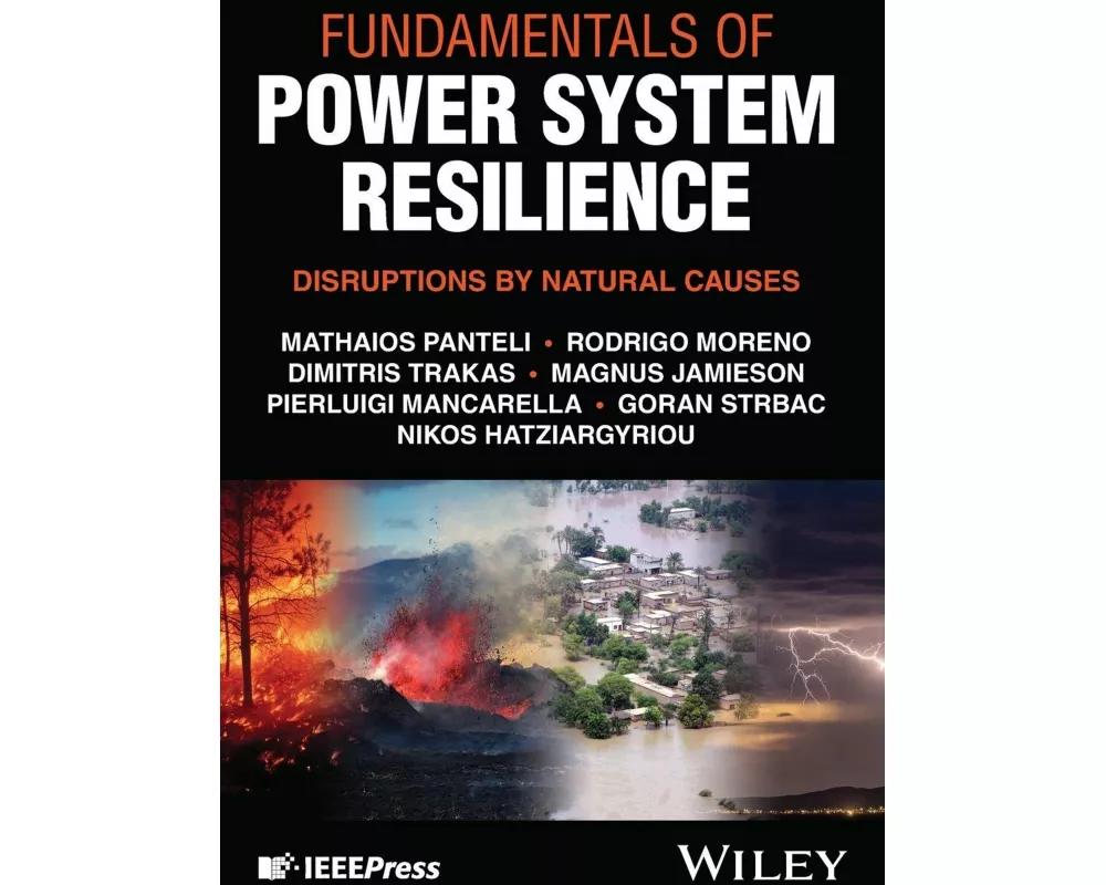 Fundamentals of Power System Resilience