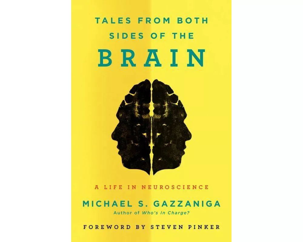 Tales from Both Sides of the Brain
