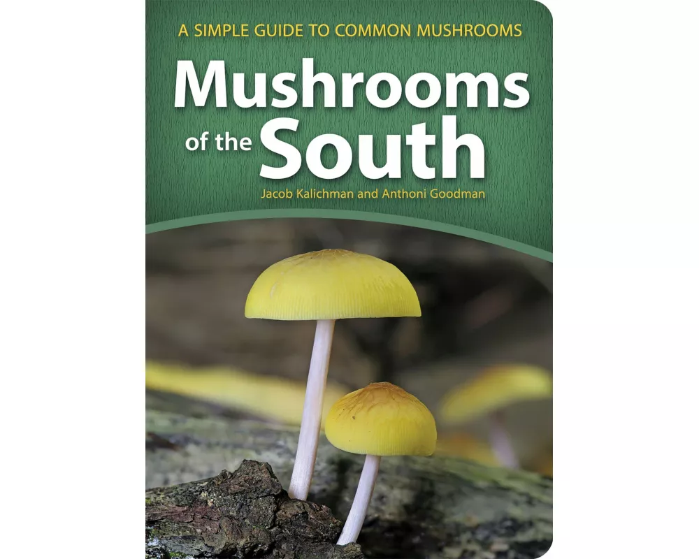 Mushrooms of the South