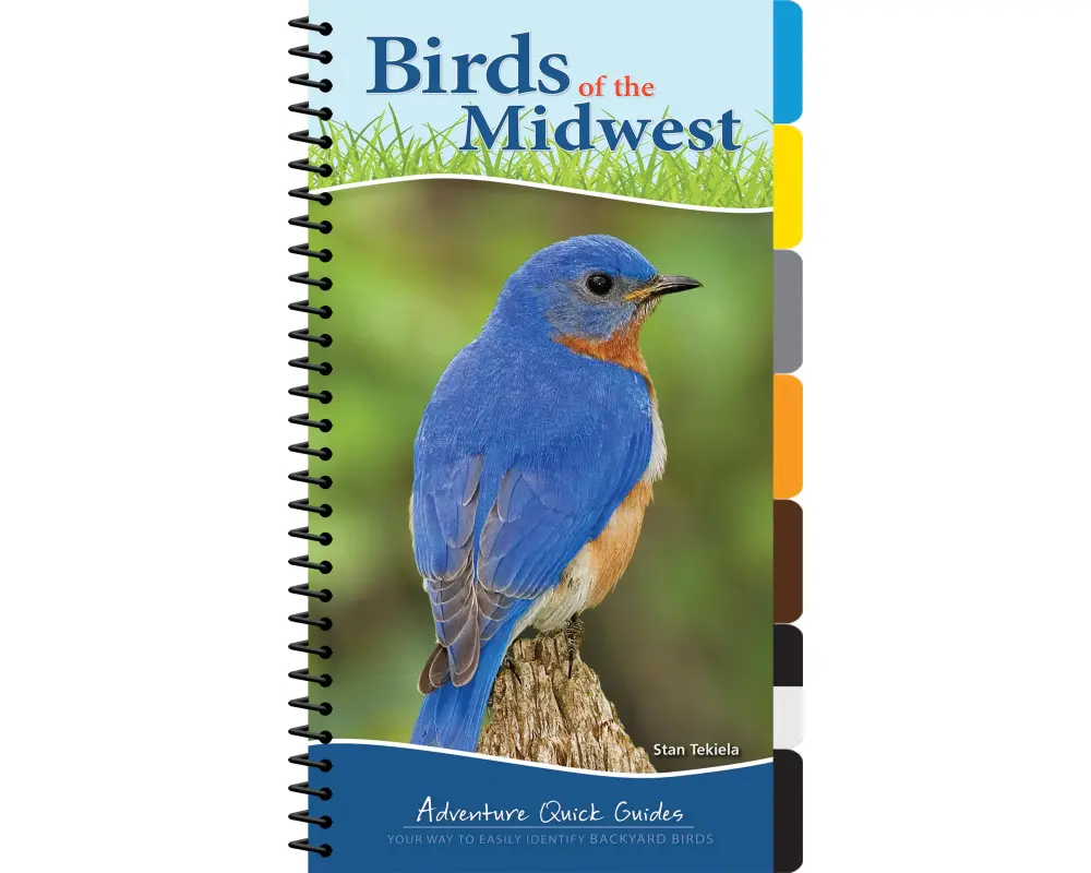 Birds of the Midwest