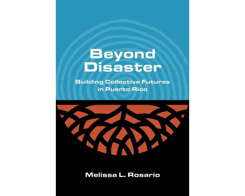 Beyond Disaster