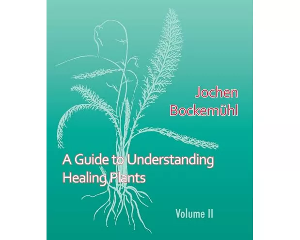 A Guide to Understanding Healing Plants