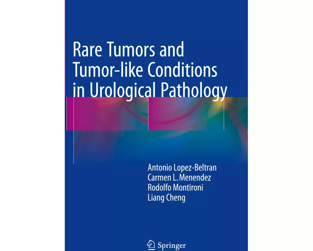 Rare Tumors and Tumor-like Conditions in Urological Pathology
