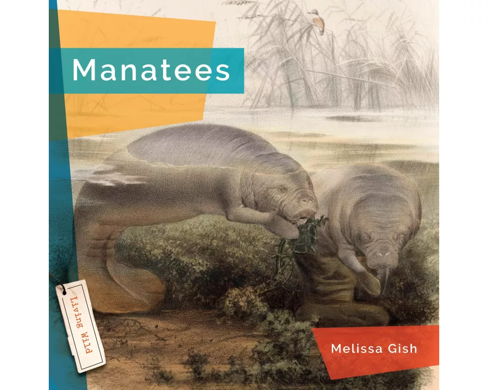 Manatees