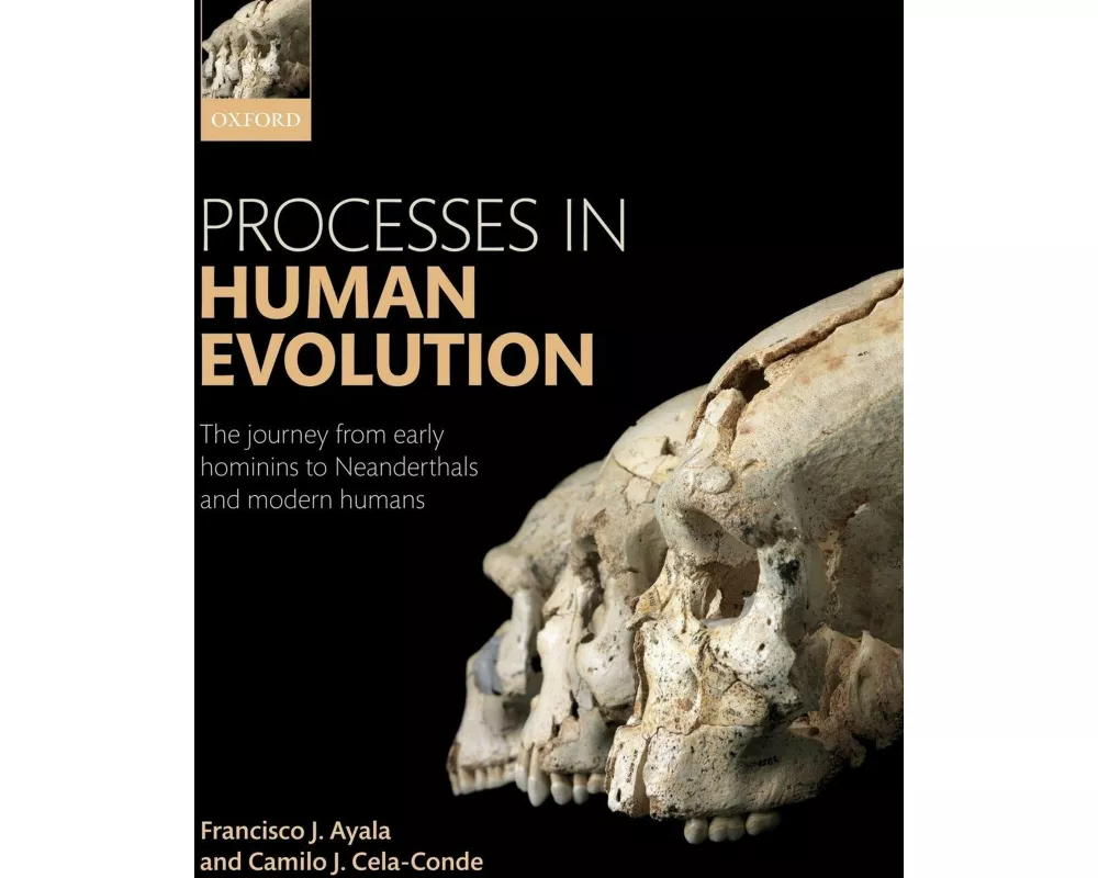 Processes in Human Evolution