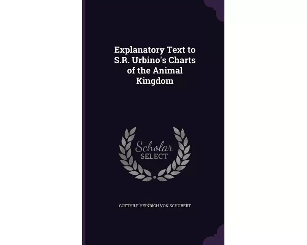 Explanatory Text To Sr Urbinos