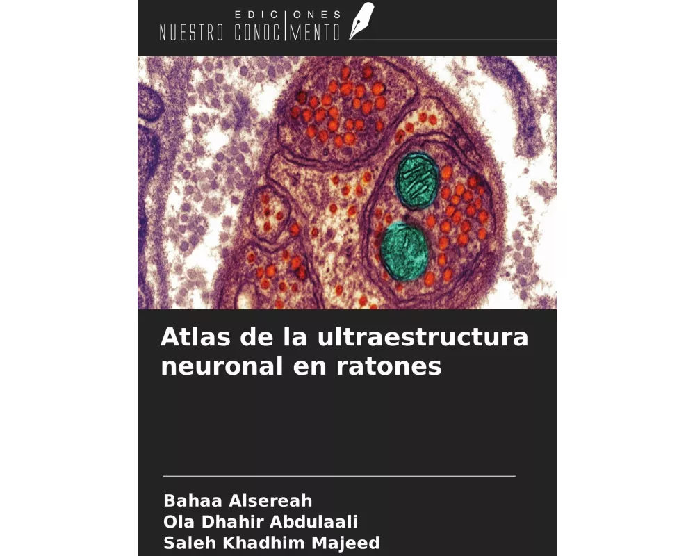 Atlas de la ultraestructura neuronal en ratones