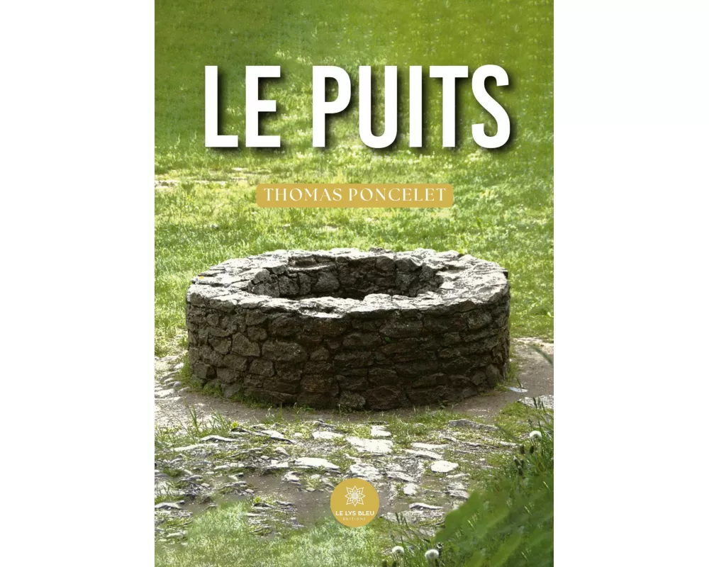 Le puits