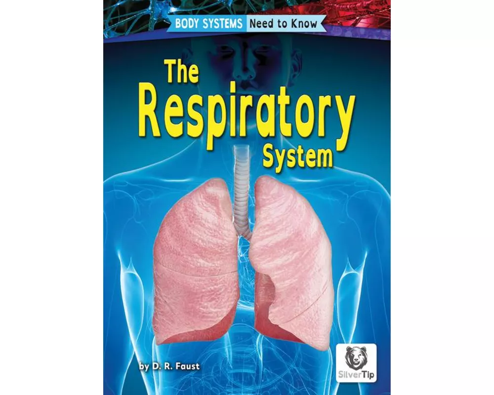 The Respiratory System