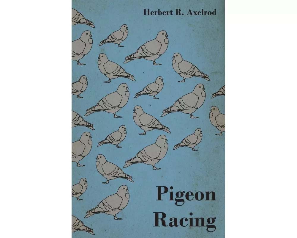 Pigeon Racing