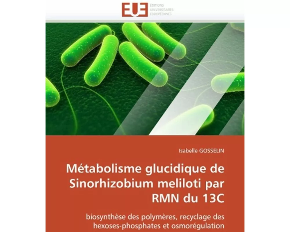 Métabolisme glucidique de Sinorhizobium meliloti par RMN du 13C