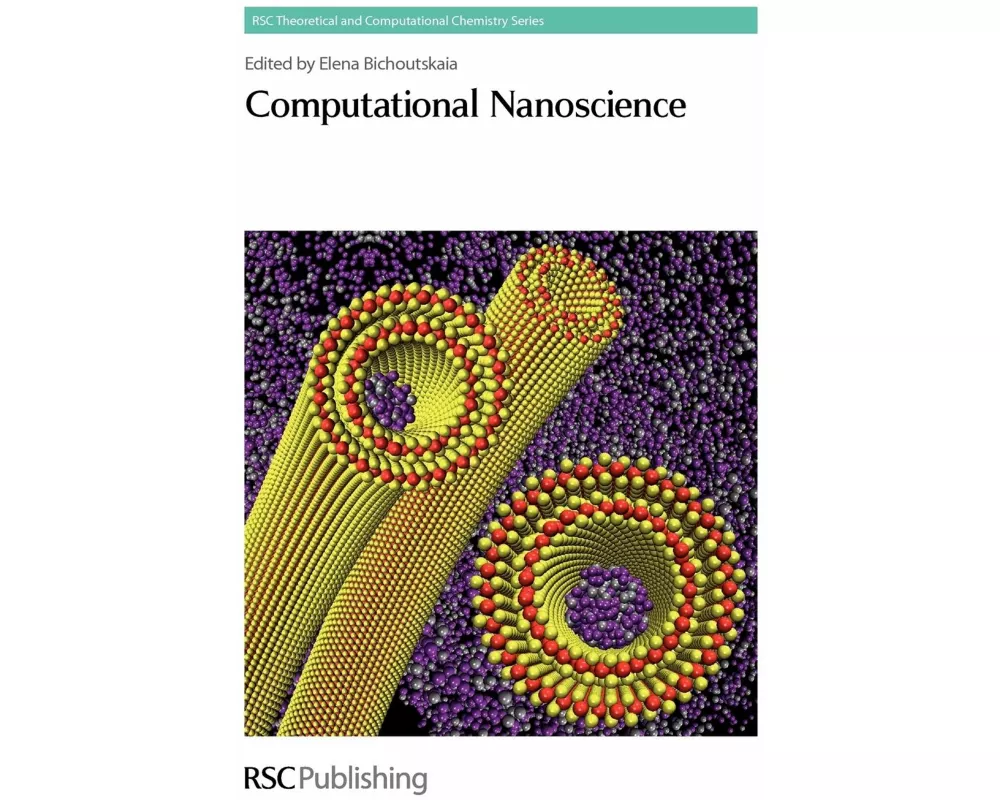 Computational Nanoscience