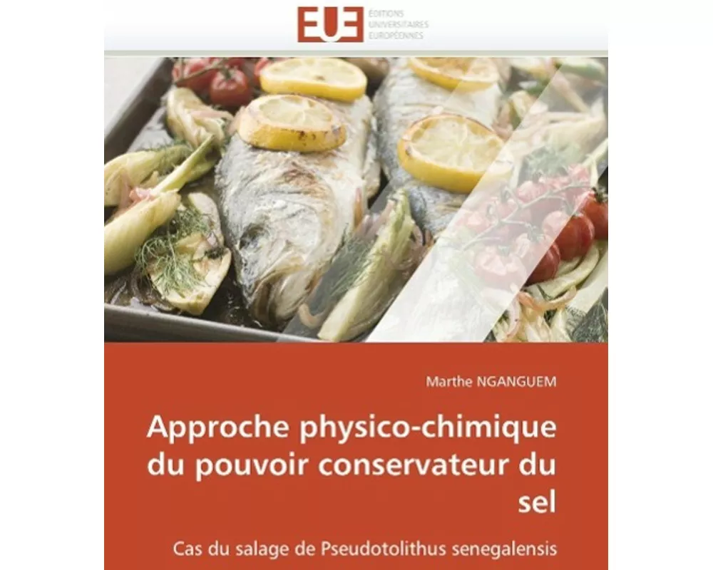 Approche physico-chimique du pouvoir conservateur du sel