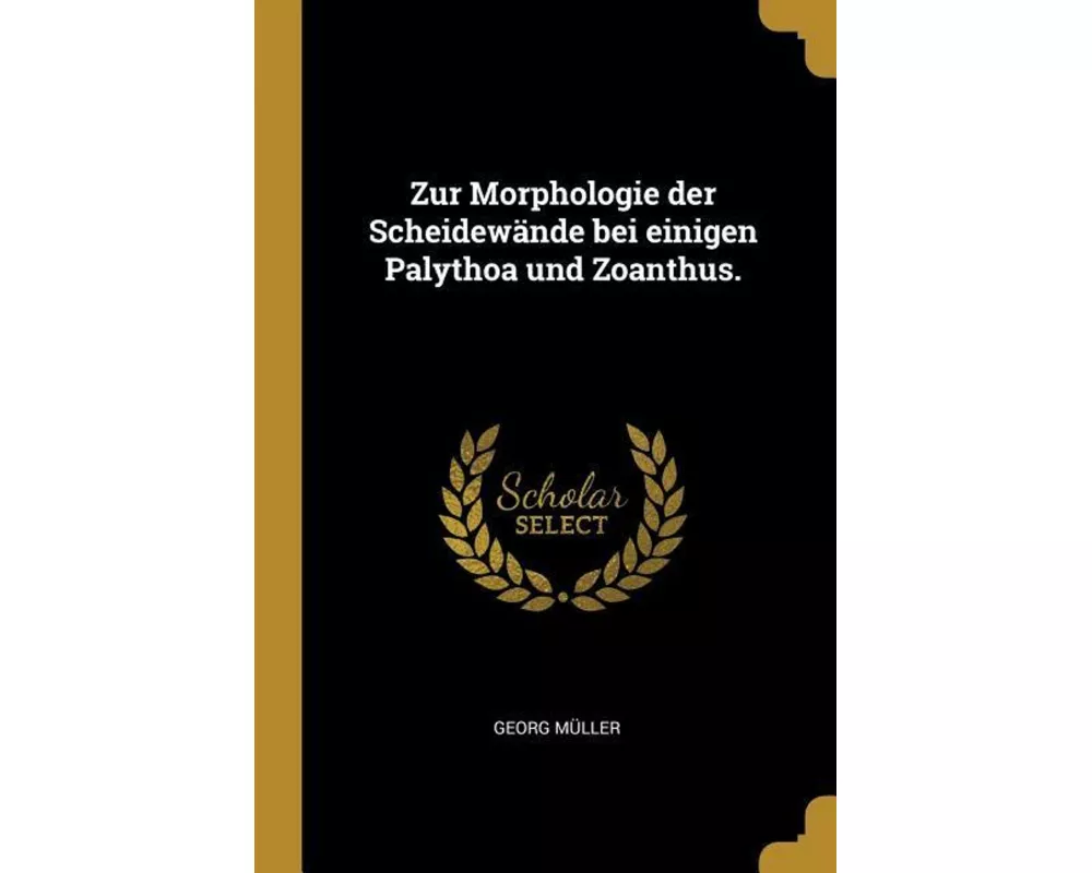 Zur Morphologie Der Scheidewände Bei Einigen Palythoa Und Zoanthus