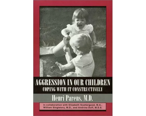Aggression in Our Children