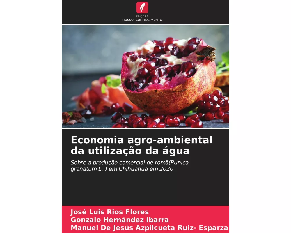 Economia agro-ambiental da utilização da água