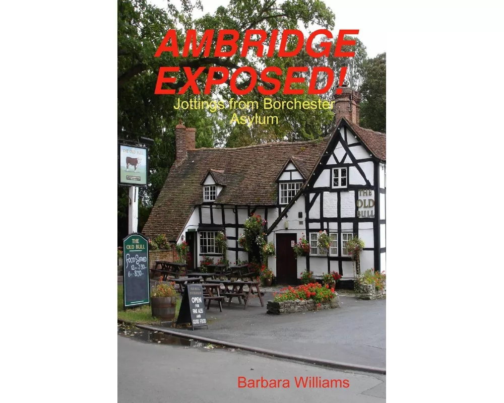 Ambridge Exposed! Jottings from Borchester Asylum