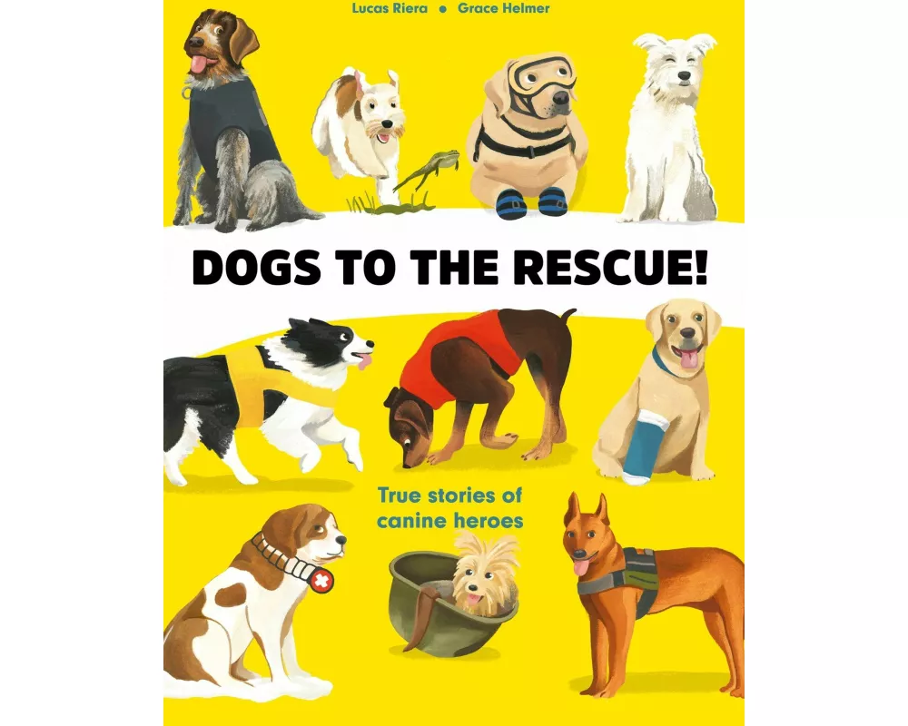 Dogs to the Rescue