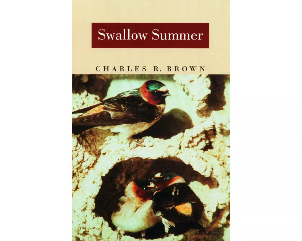 Swallow Summer