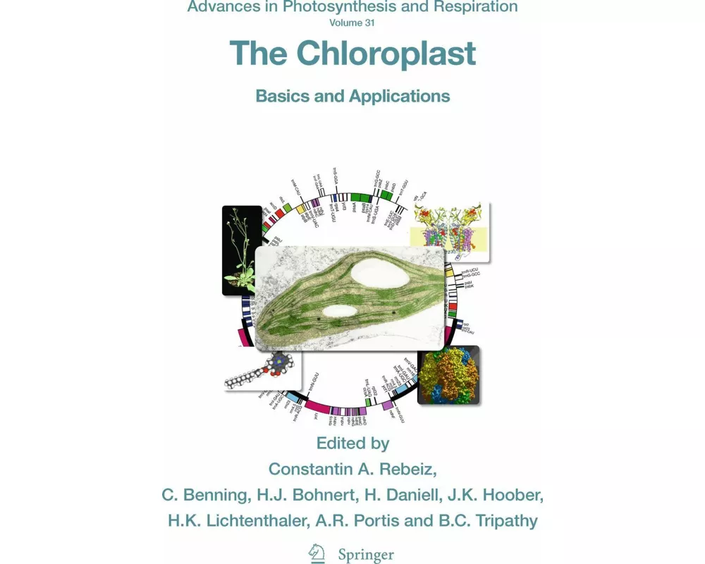 The Chloroplast