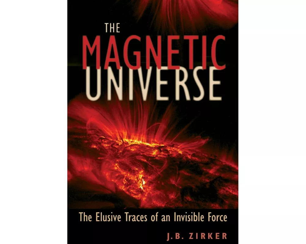 Magnetic Universe