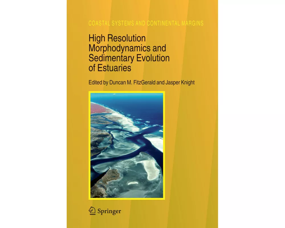 High Resolution Morphodynamics and Sedimentary Evolution of Estuaries