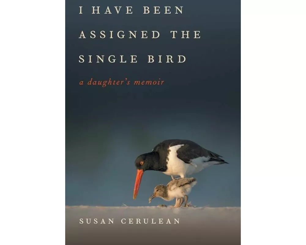 I Have Been Assigned the Single Bird