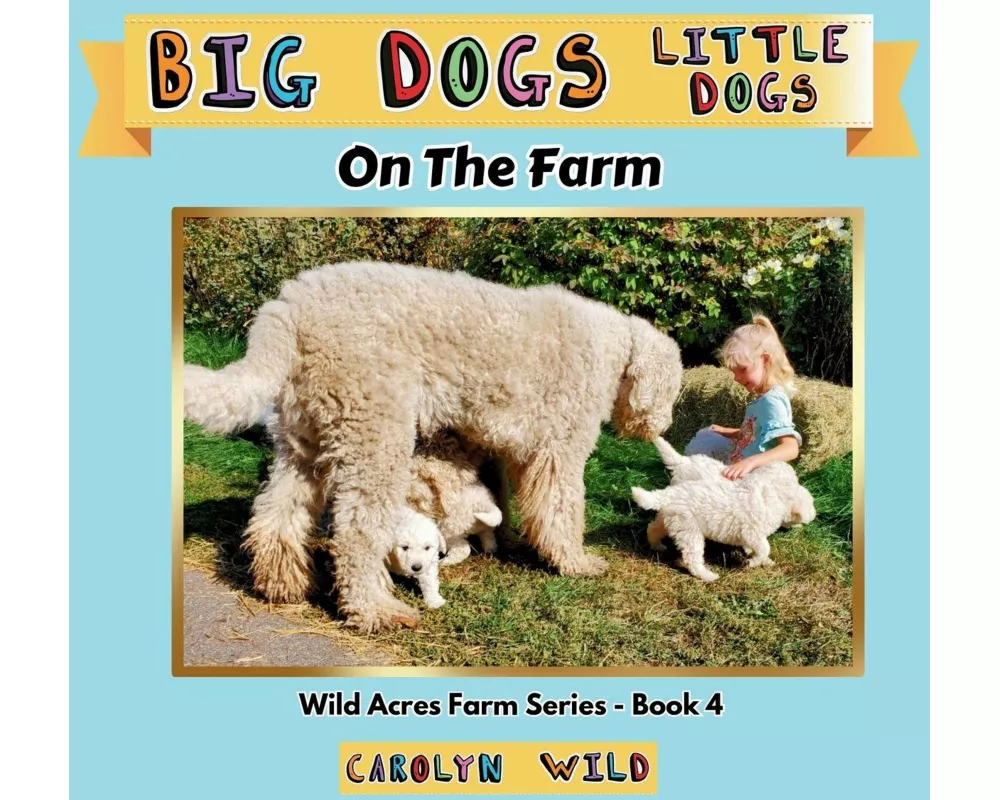 Big Dogs Little Dogs